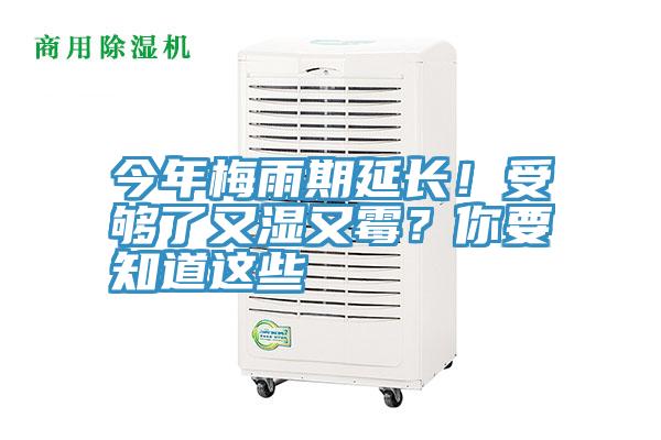 今年梅雨期延長(zhǎng)！受夠了又濕又霉？你要知道這些