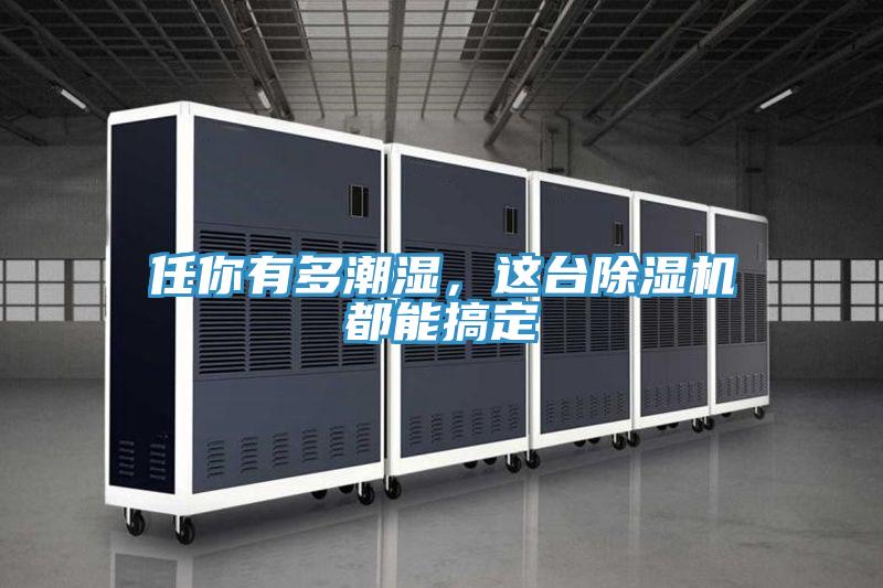 任你有多潮濕，這臺除濕機(jī)都能搞定