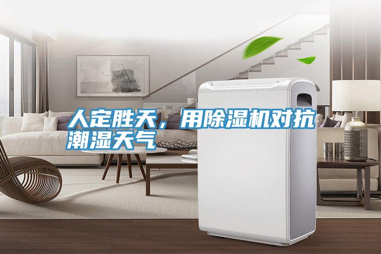 人定勝天，用除濕機對抗潮濕天氣
