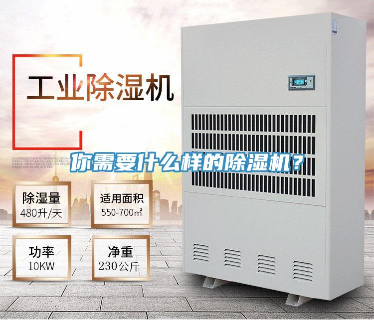 你需要什么樣的除濕機(jī)？