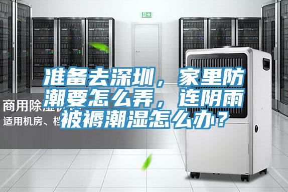 準(zhǔn)備去深圳，家里防潮要怎么弄，連陰雨被褥潮濕怎么辦？