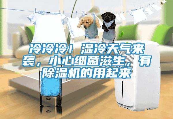冷冷冷！濕冷天氣來襲，小心細菌滋生，有除濕機的用起來