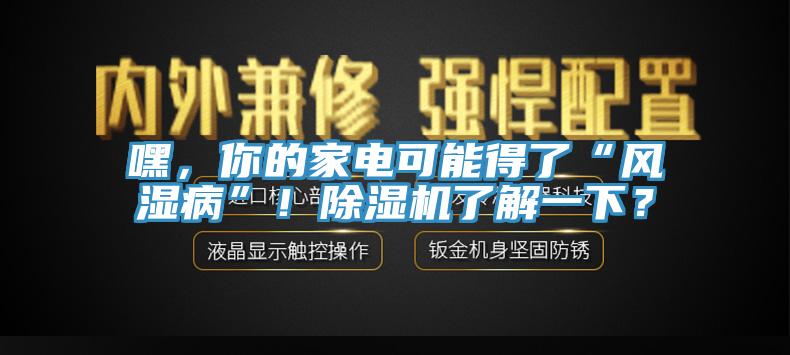 嘿，你的家電可能得了“風(fēng)濕病”！除濕機(jī)了解一下？