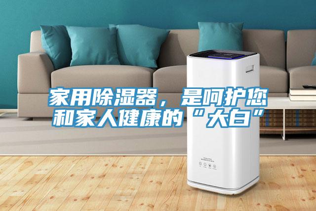 家用除濕器，是呵護(hù)您和家人健康的“大白”