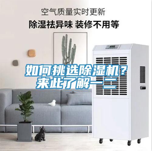 如何挑選除濕機？來此了解一二