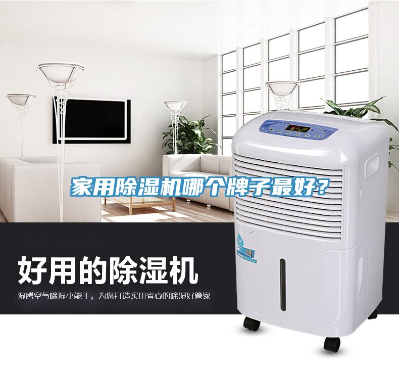 家用除濕機哪個牌子最好？