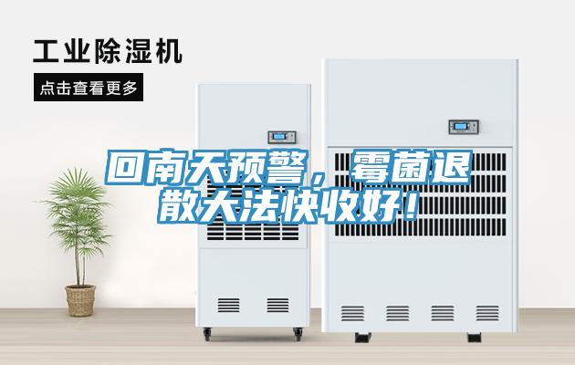 回南天預(yù)警，霉菌退散大法快收好！