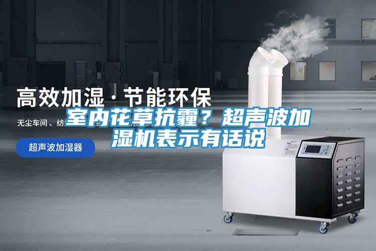 室內(nèi)花草抗霾？超聲波加濕機(jī)表示有話說