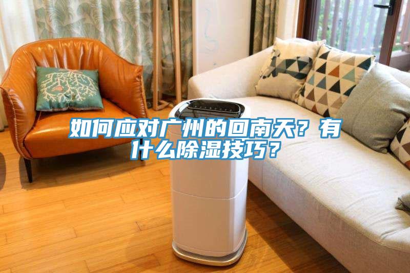 如何應(yīng)對廣州的回南天？有什么除濕技巧？