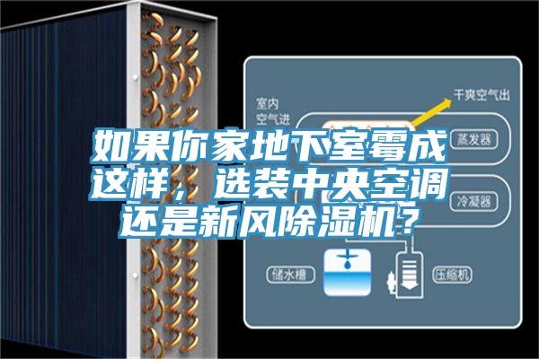 如果你家地下室霉成這樣，選裝中央空調(diào)還是新風(fēng)除濕機(jī)？