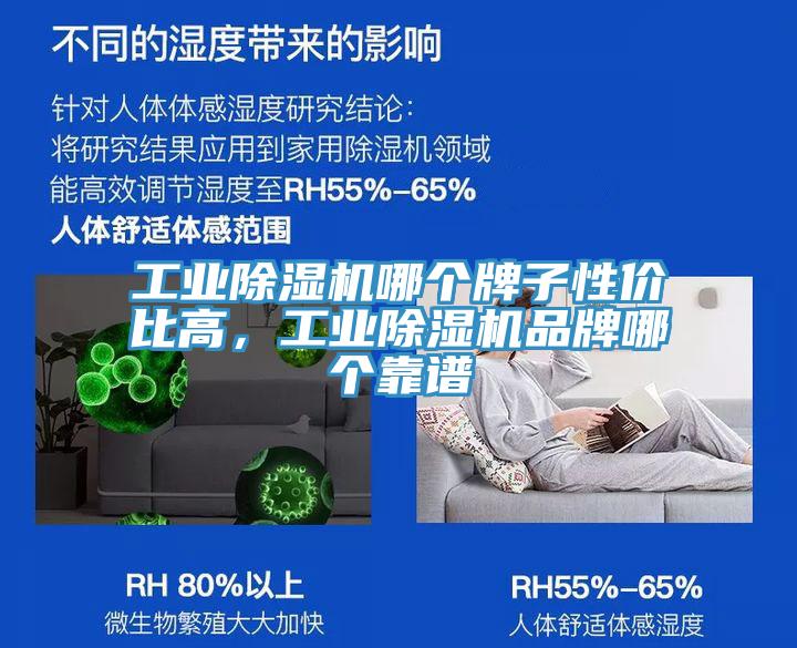 工業(yè)除濕機(jī)哪個(gè)牌子性?xún)r(jià)比高，工業(yè)除濕機(jī)品牌哪個(gè)靠譜