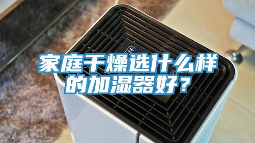 家庭干燥選什么樣的加濕器好？