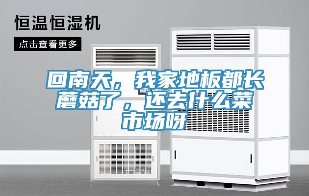 回南天，我家地板都長蘑菇了，還去什么菜市場呀