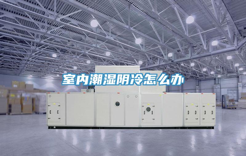 室內(nèi)潮濕陰冷怎么辦