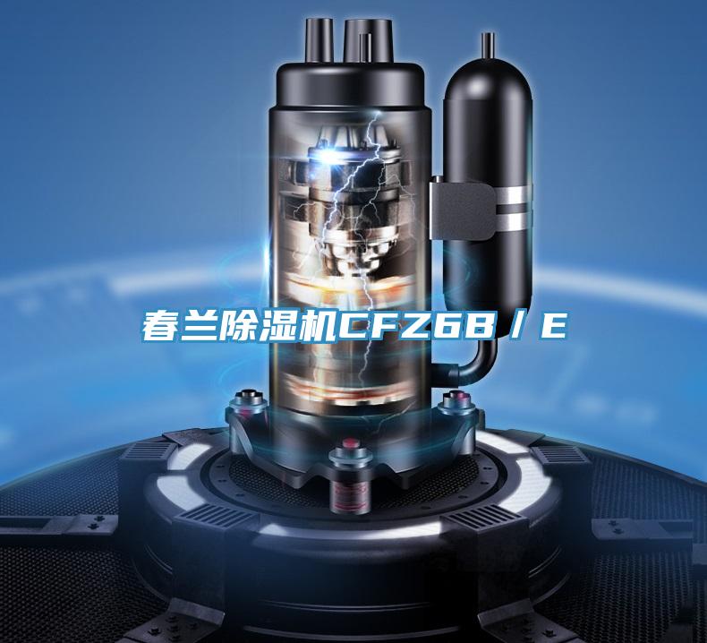 春蘭除濕機(jī)CFZ6B／E