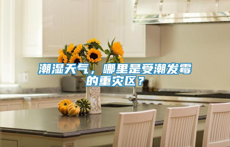 潮濕天氣，哪里是受潮發(fā)霉的重災(zāi)區(qū)？