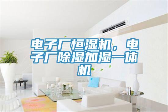 電子廠恒濕機，電子廠除濕加濕一體機