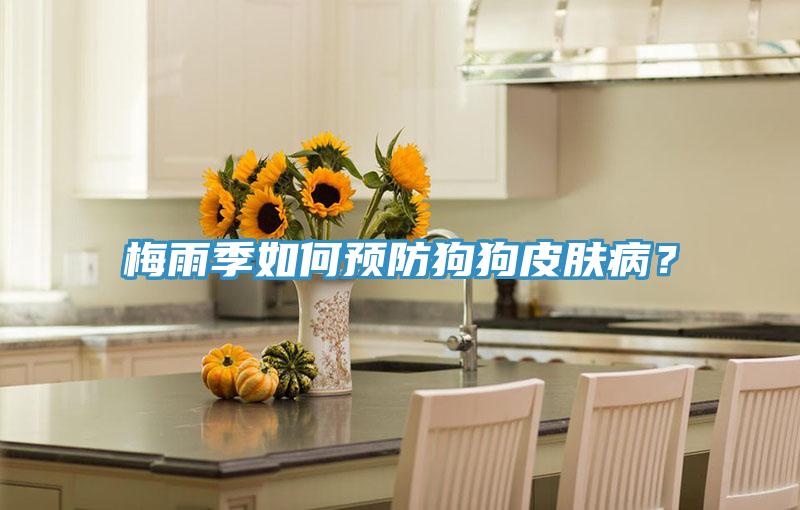 梅雨季如何預防狗狗皮膚?。?></div>
								<div   id=