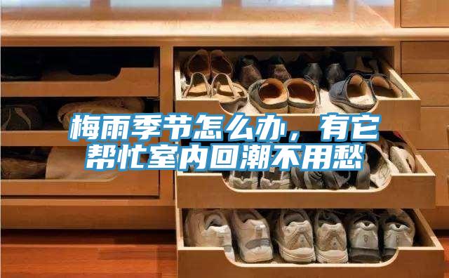 梅雨季節(jié)怎么辦，有它幫忙室內(nèi)回潮不用愁