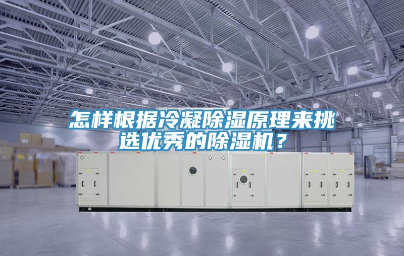 怎樣根據(jù)冷凝除濕原理來挑選優(yōu)秀的除濕機(jī)？