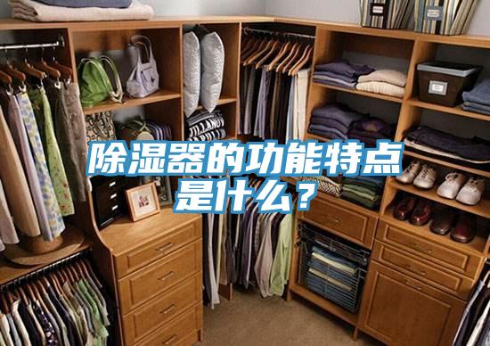 除濕器的功能特點(diǎn)是什么？