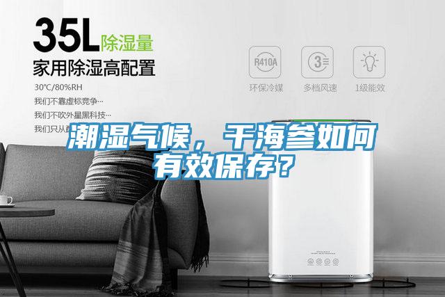 潮濕氣候，干海參如何有效保存？