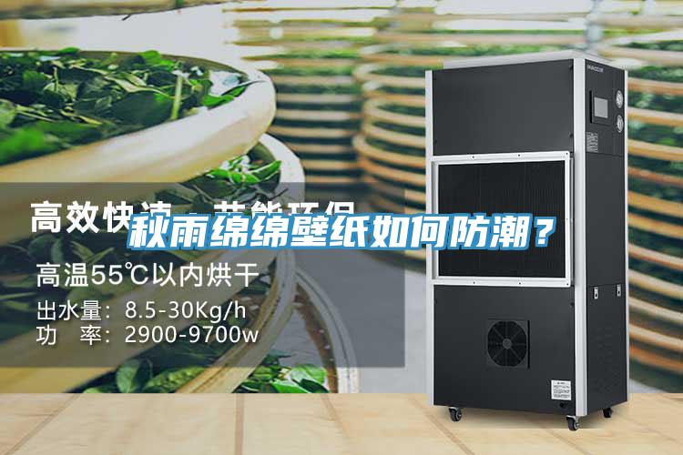 秋雨綿綿壁紙如何防潮？