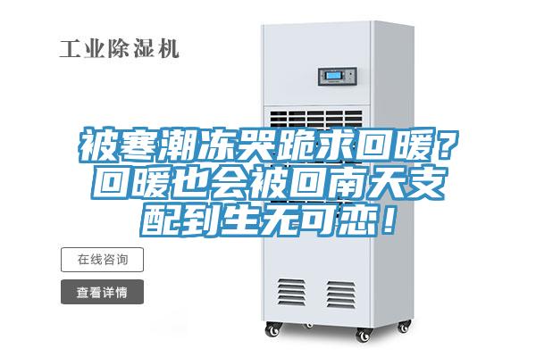 被寒潮凍哭跪求回暖？回暖也會被回南天支配到生無可戀！