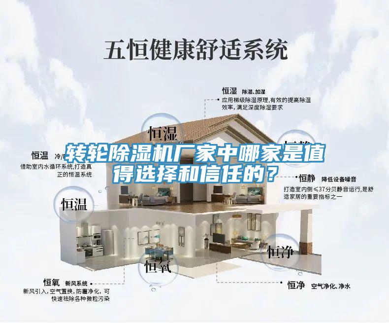 轉(zhuǎn)輪除濕機(jī)廠家中哪家是值得選擇和信任的？