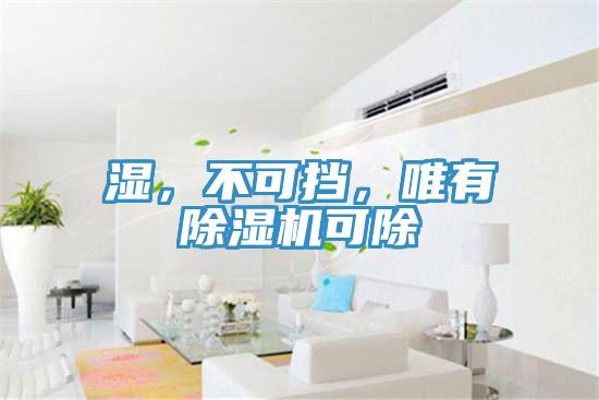 濕，不可擋，唯有除濕機(jī)可除