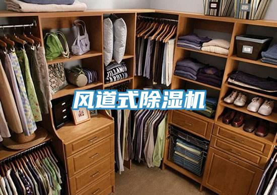 風(fēng)道式除濕機