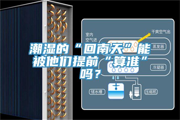 潮濕的“回南天”能被他們提前“算準(zhǔn)”嗎？