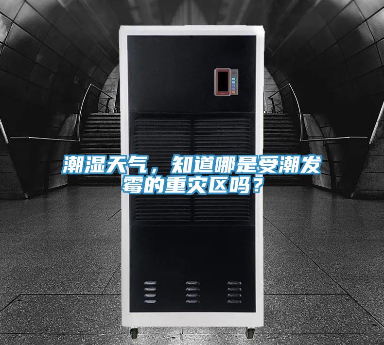 潮濕天氣，知道哪是受潮發(fā)霉的重災(zāi)區(qū)嗎？