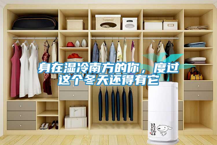 身在濕冷南方的你，度過這個冬天還得有它