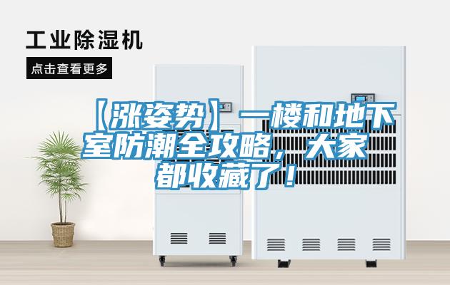 【漲姿勢】一樓和地下室防潮全攻略，大家都收藏了！