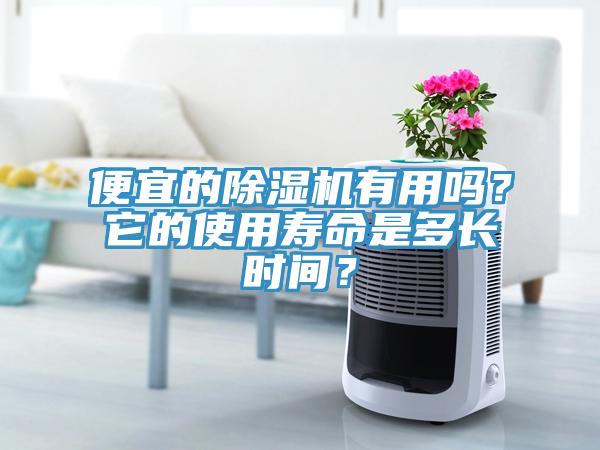 便宜的除濕機有用嗎？它的使用壽命是多長時間？