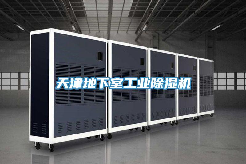 天津地下室工業(yè)除濕機(jī)