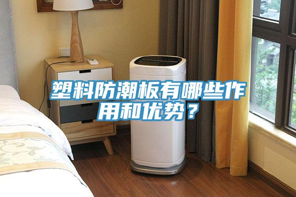 塑料防潮板有哪些作用和優(yōu)勢？