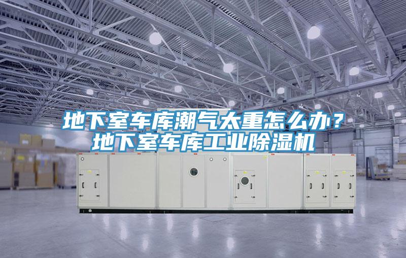 地下室車庫潮氣太重怎么辦？地下室車庫工業(yè)除濕機