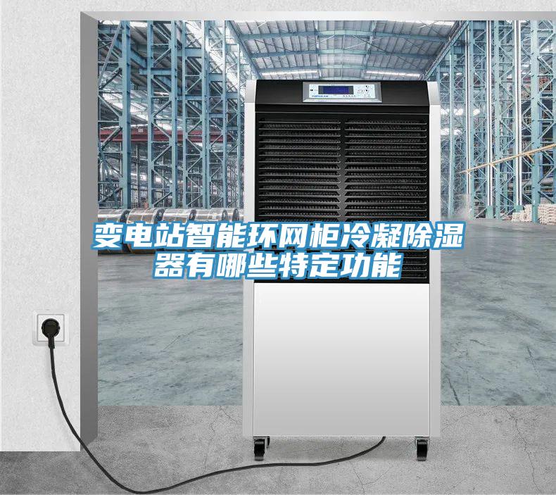 變電站智能環(huán)網柜冷凝除濕器有哪些特定功能