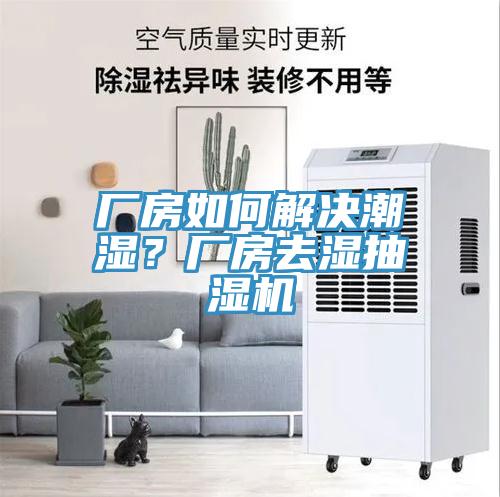 廠房如何解決潮濕？廠房去濕抽濕機(jī)