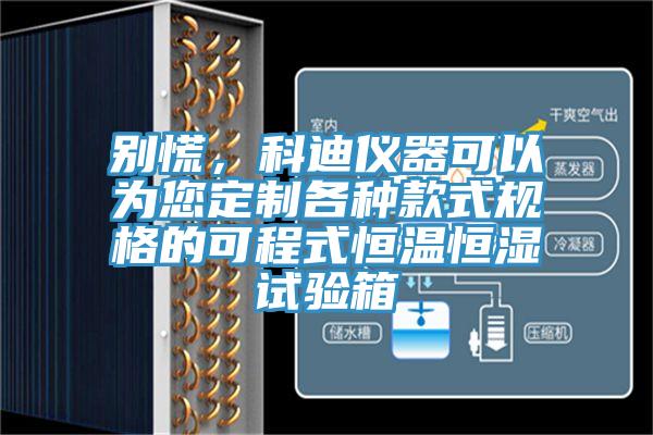 別慌，科迪儀器可以為您定制各種款式規(guī)格的可程式恒溫恒濕試驗(yàn)箱