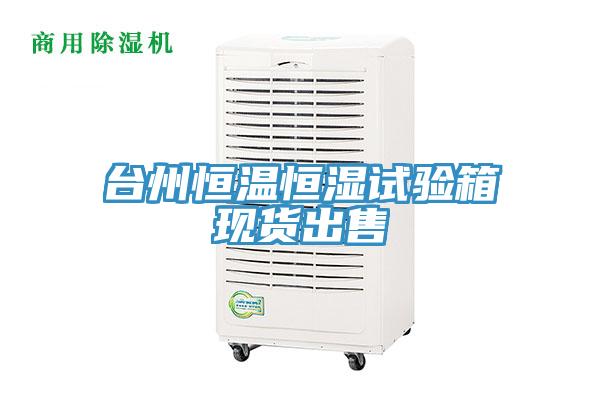 臺州恒溫恒濕試驗(yàn)箱現(xiàn)貨出售