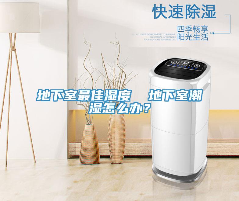 地下室最佳濕度  地下室潮濕怎么辦？