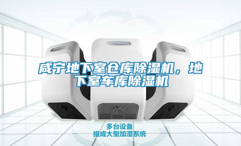 咸寧地下室倉(cāng)庫(kù)除濕機(jī)，地下室車(chē)庫(kù)除濕機(jī)