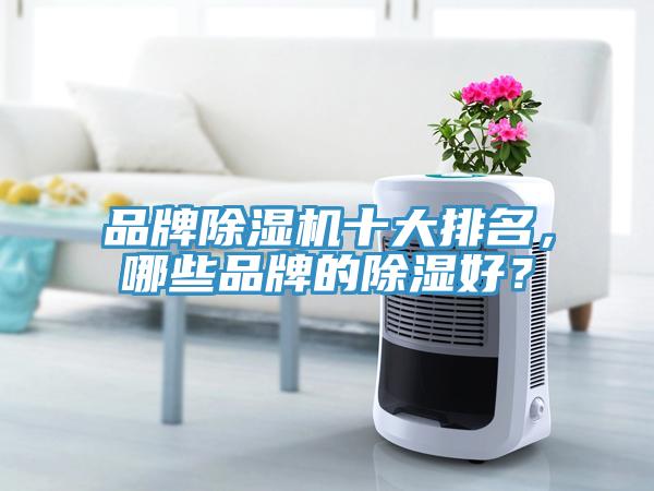 品牌除濕機(jī)十大排名，哪些品牌的除濕好？