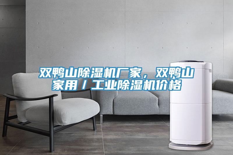 雙鴨山除濕機(jī)廠家，雙鴨山家用／工業(yè)除濕機(jī)價(jià)格