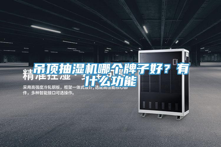 吊頂抽濕機(jī)哪個(gè)牌子好？有什么功能