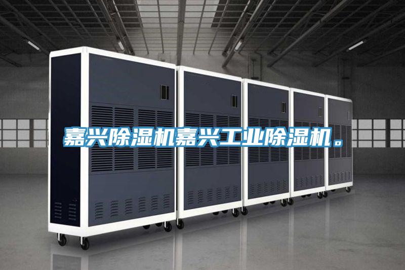 嘉興除濕機嘉興工業(yè)除濕機。