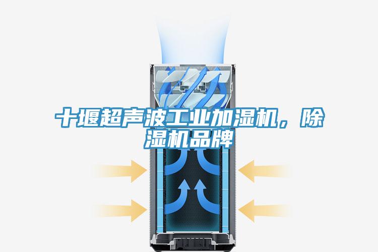 十堰超聲波工業(yè)加濕機(jī)，除濕機(jī)品牌